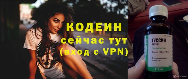 сатива Новодвинск