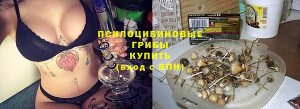 винт Алексин