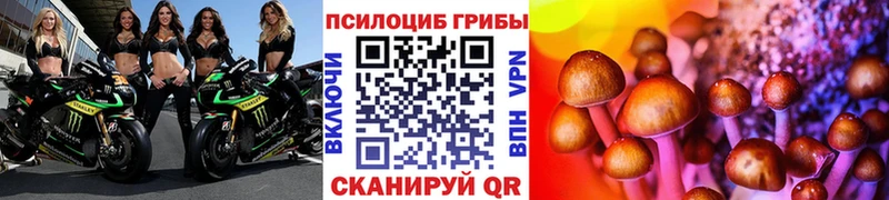 Псилоцибиновые грибы мухоморы  Мышкин 
